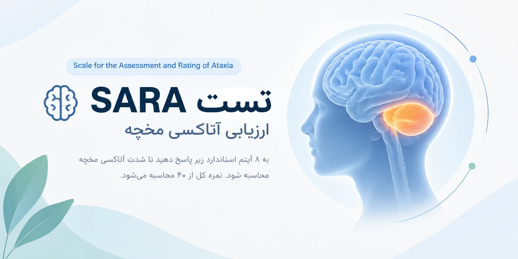 تست ارزیابی و درجه بندی شدت مشکل مخچه
